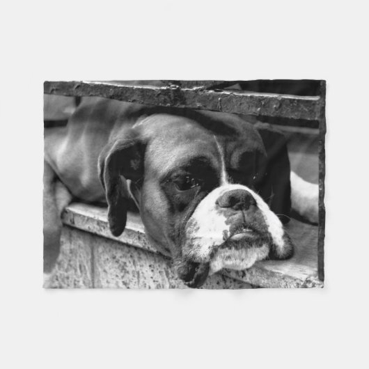 窓枠のボクサー犬 フリースブランケット (正面(横))