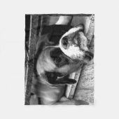 窓枠のボクサー犬 フリースブランケット (正面)