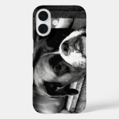 窓枠のボクサー犬 Case-Mate iPhoneケース (裏面)