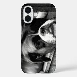 窓枠のボクサー犬 iPhone 16ケース