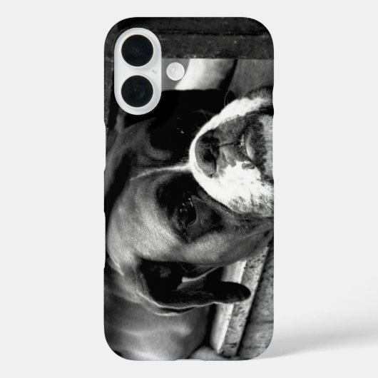 窓枠のボクサー犬 Case-Mate iPhoneケース (裏面)