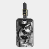 窓枠のボクサー犬cd ltcna ラゲッジタグ (正面縦)