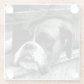 窓枠の上にボクサー犬 ガラスコースター (裏面)