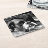 窓枠の上にボクサー犬 スクエアペーパーコースター (アングル)