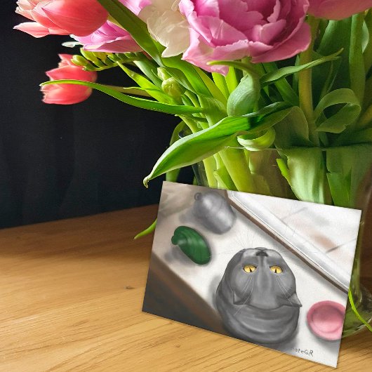 窓枠の猫 ポストカード