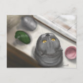 窓枠の猫 ポストカード (正面)