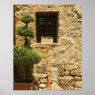 窓枠の窓ボックスに花が咲き ポスター