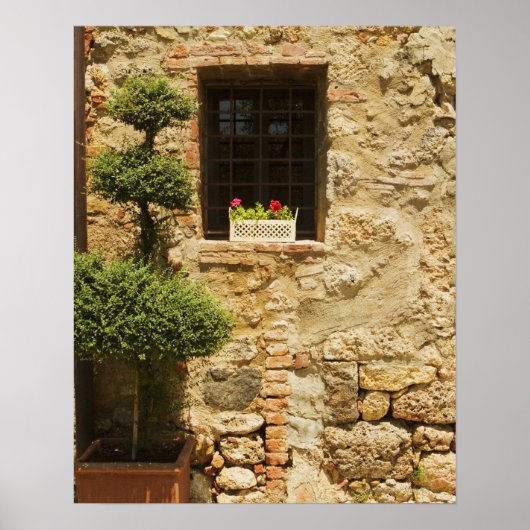 窓枠の窓ボックスに花が咲き ポスター (正面)