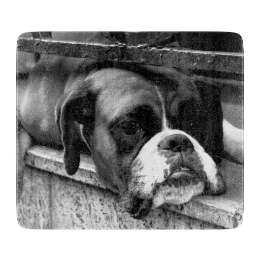 窓枠Cbcna上のボクサー犬 カッティングボード (正面)