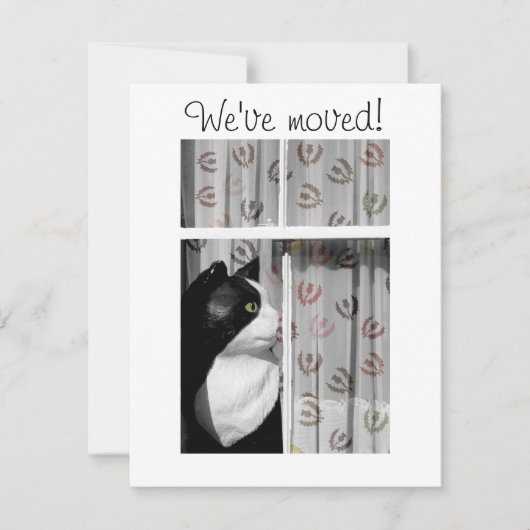 窓猫の新しい家の発表カード 案内状 (正面)