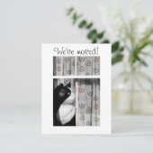 窓猫の新しい家の発表カード 案内状 (スタンド正面)