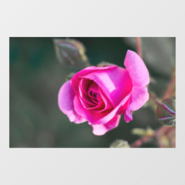 窓用デカール - バラと蕾の写真 ウィンドウサイン
