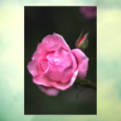 窓用デカール - バラの花 フローラル 自然写真 ウィンドウサイン (シート3)
