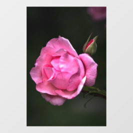 窓用デカール - バラの花 フローラル 自然写真 ウィンドウサイン