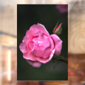 窓用デカール - バラの花 フローラル 自然写真 ウィンドウサイン (シート2)