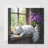 窓辺でうたた寝する猫 | 無地 カード (正面)