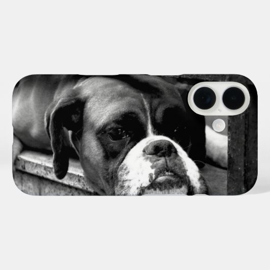 窓辺のボクサー犬 iphcna Case-Mate iPhoneケース (裏面 (横))