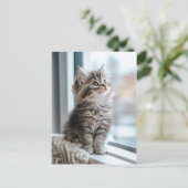 窓辺の子猫 シーズンポストカード (スタンド正面)