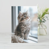 窓辺の子猫 フラット シーズンカード (スタンド正面)