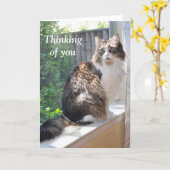 窓辺カードの猫 カード (黄色い花)