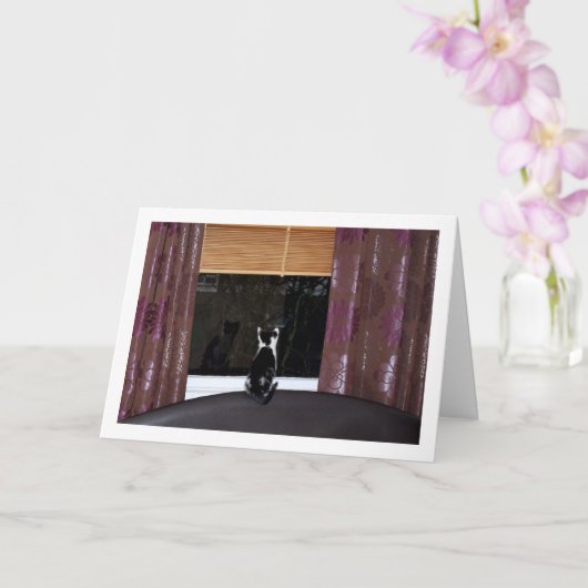 窓際の黒と白の子猫 カード (蘭)