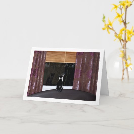 窓際の黒と白の子猫 カード (黄色い花)