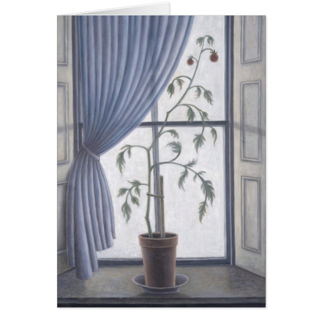 窓2003年で植えて下さい (正面)