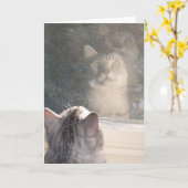 窓 カード (黄色い花)