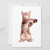 立おもしろいよくはしゃぐ子 招待状 (裏面)