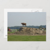 立ちかわいらしはがき ポストカード (正面/裏面)