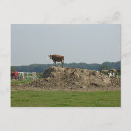 立ちかわいらしはがき ポストカード