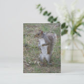 立ちリス ポストカード (スタンド正面)