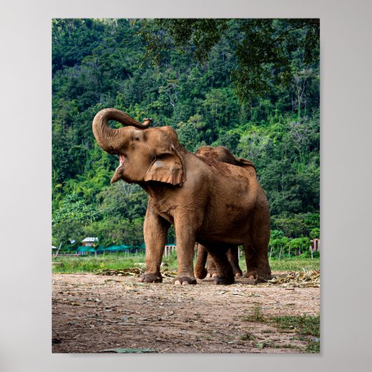 立ち上がって聞こえる ポスター (正面)