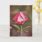 立ち上がりバラ聖なる書物、 経典カード詩編33:1 カード (黄色い花)