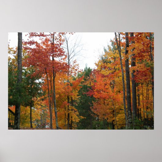 立ち会い ポスター (正面)