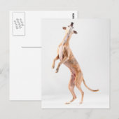 立ち鞭 ポストカード (正面/裏面)