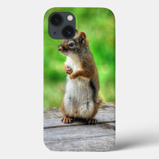 立っている若い雄のリス 野生生物の写真 Case-Mate iPhoneケース (裏面)