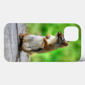 立っている若い雄のリス 野生生物の写真 Case-Mate iPhoneケース (裏面 (横))