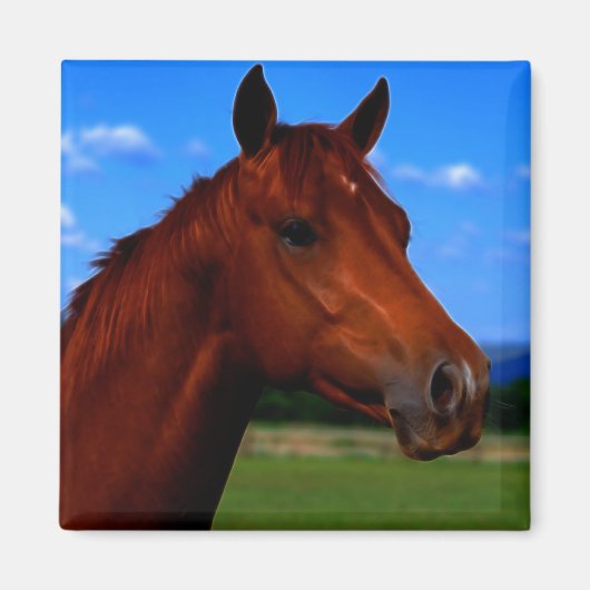 立っている誇りを持った馬 マグネット (正面)