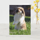 立つオランダLOP カード (黄色い花)