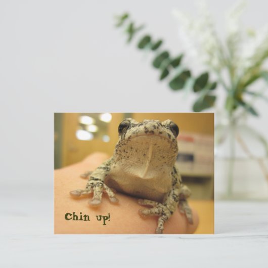 立て! ポストカード (スタンド正面)