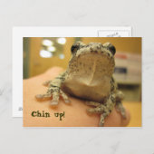 立て! ポストカード (正面/裏面)