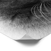 立派な灰色の威厳のある猫を見つけてください ポスター (角)