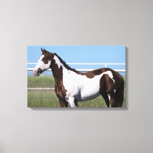 立絵を描馬 キャンバスプリント (正面)