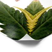 立誇りを持ったって… ポスター (コーナー)