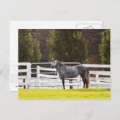 立誇りを持ったつ ポストカード (正面/裏面)