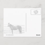 立誇りを持ったつ ポストカード (裏面)