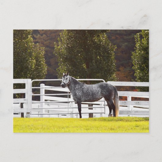 立誇りを持ったつ ポストカード (正面)