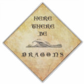 竜のいる場所 ここに竜あり ビニールステッカー シール (正面)