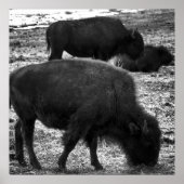 竜花 ポスター (正面)